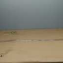 Amazon Basics Durable, Foldable Metal Wire Dog Crate with Tray, Double Door, 48 x 30 x 32.5 in, Black