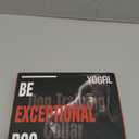 2-in-1 Dog Shock Collar with Remote & Bark Collar - Smart Anti Barking Dog Electric Training Collar with 5 Adjustable Sensitivity & 3300FT for All Breeds IPX7 Waterproof E-Collar for 2 Dogs