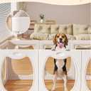 Acrylic Dog Playpen Indoor, 10 Panels Clear Transparent Pet Fence with Lockable Door, Tall Sturdy Puppy Playpen for Small Dogs Cats Rabbits, Tool-Free Easy Assembly