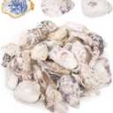 QEQEKAKA 25PCS Oyster Shells 3"-4" Concave Oyster Shells for Crafts Natural Oyster Shells Bulk, for Home Vase Filler, Xmas Ornaments, DIY Arts and Crafts Sea Shells