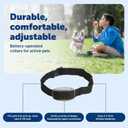 PetSafe Pawz Away Indoor Wireless Pet Barrier, Electric Training System for Dogs & Cats with Receiver Collar