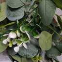 N&T NIETING 6 Pack Artificial Eucalyptus Leaf Garland, Faux Greenery Garland Decor 6 FT Summer Garland, Fake Hanging Vines Garlands for Wedding Mothers Day Decoration Table Mantle