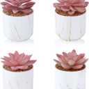 ZENIDA Succulent Artificial Plants, Cute Fake Succulents in 4 White Ceramic Pots, Small Fake Plants for Office, Table, Desk, Bathroom, Bedroom, Aesthetic Room Shelves Decor, Desk Decorations for Women Office