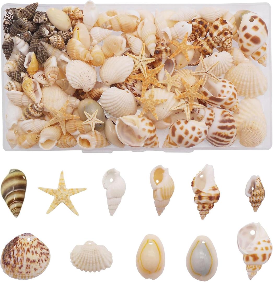 yaokan 130PCS/Box Mixed Lots Sea Shell Cowrie Conch Starfish Ocean Beach Spiral Seashell with Hole for Resin Craft Candle Making Wishing Bottle Wedding Home Fish Tank Decoration
