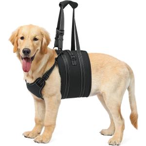 NOYAL Dog Lift Harness Sling - Adjustable Pet Carrier for Senior Dogs with Arthritis Joint Injuries, Emergency Support Rehabilitation Aid for Nail Trimming, Stairs Assistance (Large, Black)