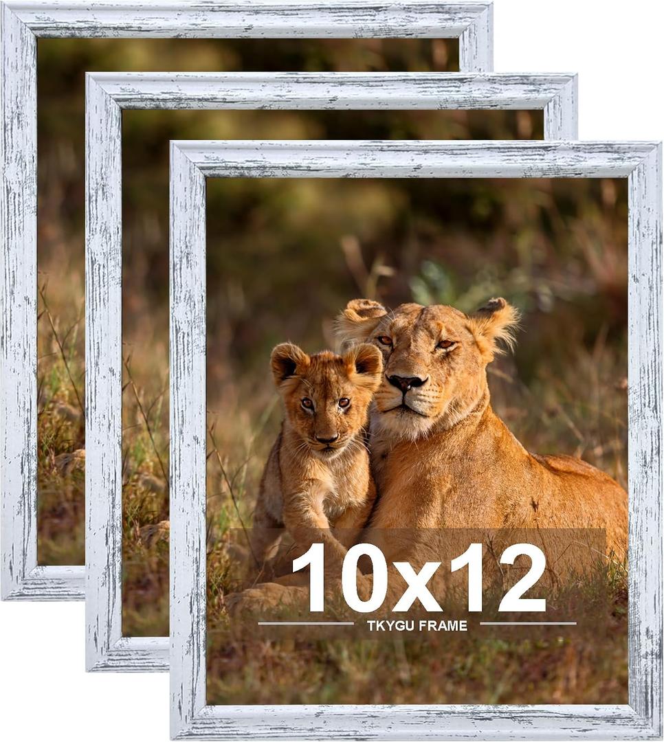 10x12 Picture Frame set of 3,Woode Frame for Wall Hanging, Horizontally or Vertically, 10 x 12 Wall Gallery Poster Photo Frame Rustic White best gift