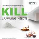 Crawling Insect Killer Dust, 1 lb. | Natural Repellent and Killer for Silverfish, Roaches, Ants, Ticks, and Fleas | Home Pest Powder for Indoor and Outdoor Perimeter | Low Odor and Non-Staining