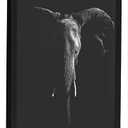 Americanflat 20x20 Picture Frame with Polished Plexiglass - Epic Collection - Square Picture Frame with Engineered Wood - Wide Photo Frames for Wall display - Black