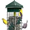 Squirrel Solution200 Squirrel-proof Bird Feeder w/6 Feeding Ports, 3.4-pound Seed Capacity, Free Seed Funnel