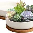 ZOUTOG Succulent Pots,6 Inch Succulent Planters with Drainage and Tray,White Ceramic Planters for Indoor Plants,Round Shallow Flower Plant Pots,Pack of 2 (6.14*1.57 inches)