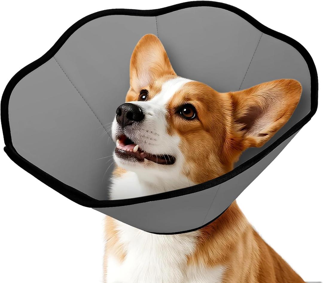 MIDOG Dog Cone Collar After Surgery, Soft Dog Cone Alternative to Stop Licking,Adjustable Elizabethan Recovery Cones for Small to Large Sized Dogs (Gray, S)