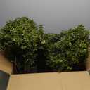 2 Pack 24.5inch Artificial Topiary Ball Plants, Faux Boxwood Ball in Pot, Fake Outdoor Plant for Front Door Decor, Home Decor, Garden, Wedding Decor (Green)