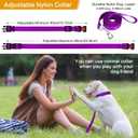 Prong Training Collar with Comfort Tips and Quick Release - Dog Choke Pinch Collar with Nylon Cover - Classic Collar and Leash for Medim Dogs