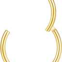ORANGELOVE Hypoallergenic Nose Rings 20G 18G 16G 14G 12G 10G 8G 316l Surgical Steel Septum Jewelry Hinged Segment Ring Body Piercing Nose Hoop Lip Rings Nose Helix Cartilage Rook Earrings