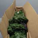 5 ft. Green Pre-Lit Fiber Optic PVC Classic Artificial Christmas Tree with 449 Branch Tips