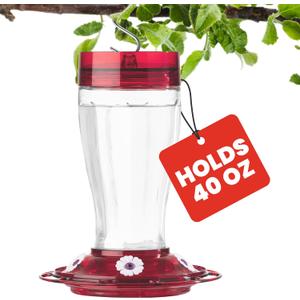 More Birds Bird Health+ Big Gulp Hummingbird Feeder, Glass Hummingbird Feeders for Outdoors, 5 Feeding Stations, 40 Ounces