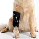 Dog Front Leg Support Brace for Foot Drop, Canine Knuckling Prevention, Toe Dragging Assistance (M)