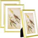 5x7-3P Picture Frame Matte Gold Brushed Thin Metal Float Photo Frame with HD Glass, Fit 4x6 with Mat or 5 x 7 without Mat, for Table and Wall, 3 Pack