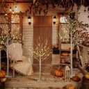 LIGHTSHARE LED Birch Tree Light Set - 4ft, 6ft, 8ft Trees with Warm White Lights - Indoor Outdoor Christmas Wedding Party Decorations (3-Pack)
