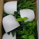 Der Rose Faux Plants Indoor, 4 Pack Small Fake Plants Mini Artificial Plants in Pots for Home Office Shelf Farmhouse Bathroom Decor