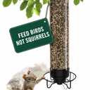 Droll Yankees Squirrel Proof Bird Feeders for Outdoors - YF-M - Flipper, Collapsible Perches, 5-Pound Seed Capacity, Green