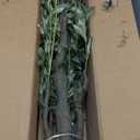 7.2ft Artificial Olive Tree (85in) with Plastic Nursery Pot Faux Olive Silk Tree, Fruits Fake Plant for Office House Farmhouse Living Room Home Decor (Indoor/Outdoor)