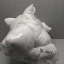 Pillow (White) Small (10Pack)