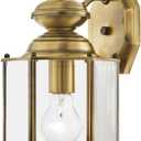 Livex Lighting 2007-01 Outdoor Wall Lantern with Clear Beveled Glass Shades, Antique Brass