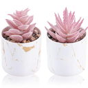Der Rose Set of 2 Succulents Plants Artificial Mini Fake Succulents Plants for Office Desk Accessories for Women Pink Home Vanity Decor