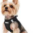 rabbitgoo Small Dog Harness, Step-in Soft Mesh Puppy Vest with Safety Buckle, Breathable Reflective Pet Harness for Small Sized Dogs, Black XS