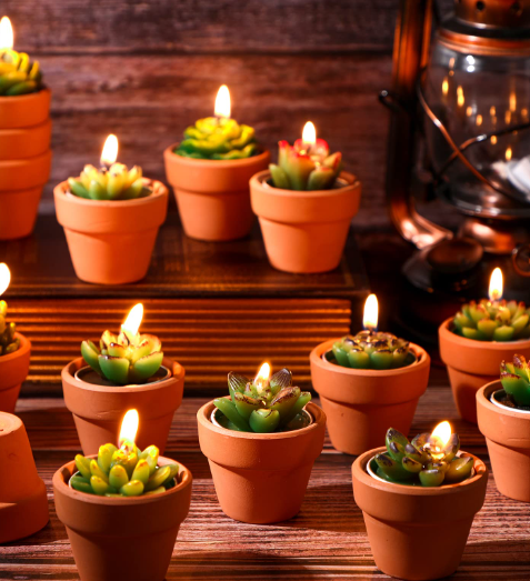 Lounsweer 24 Pcs Succulent Decorative Cactus Tealight Candles with Mini Terracotta Clay Candle Holders for Wedding Baby Showers