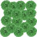 PATIKIL 6" Tissue Pom Poms Flowers, 20 Pack Paper Flower Ball for Wedding Bridal Shower Birthday Bachelorette Party Backdrop Decoration, Green