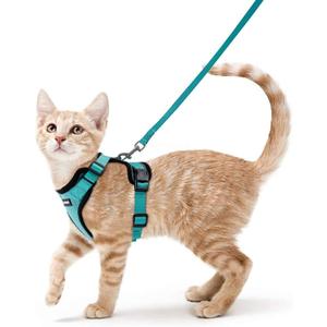 rabbitgoo Cat Harness and Leash for Walking, Escape Proof Soft Adjustable Vest Harnesses for Cats, Easy Control Breathable Reflective Strips Jacket, Emerald, XS