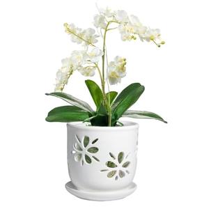 Vensovo 6 Inch Orchid Pot with Holes and Saucer - White Ceramic Orchid Planter for Repotting, Flower Pot for Indoor/Outdoor Plants (1 Pack)