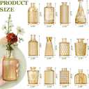 12 Pcs Clear Bud Vases Set, Small Vintage Glass Clear Bud Flower Vases Bulk Multiple Shape Cute Mini Glass Bottles Vases for Rustic Wedding Centerpieces Table Decorations and Home Decor (12, Gold)