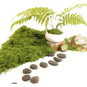 2 x Light Green Moss for Crafts Artificial Moss Decorative for Glass Vase Filler Wedding/Christmas/Fairy Party/Indoor Planters/DIY Rainforest Model/Table Centerpieces (2.1 OZ)