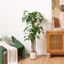 Artificial Dracaena Tree 5ft, Tall Fake Dracaena Plants with White Planter, Faux Dragon Tree Indoor Floor Plant for Home Decor Office Living Room Porch Housewarming, 1Pcs