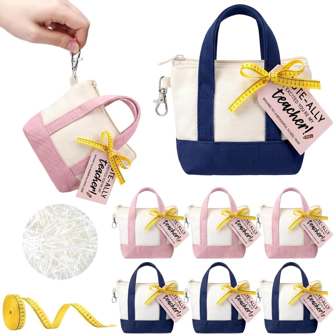 Sunnymove 6 Sets Mini Tote Bag Keychain for Teacher Appreciation Mini Canvas Bag Keychain with Tag Ribbon Raffia Thank You Teacher Appreciation Gift for Classroom (Classic Style,Pink and Dark Blue)
