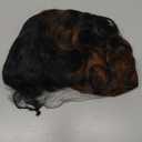 Short Bowl Cut Wig Short Curly Pixie Cut Wigs for Black Women Black Ombre Brown Pixie Curly Wig With Bangs Wig1b/30#, Blackbrown (Black and brown)