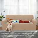 Stretch Couch Cover Washable Sofa Slipcover Furniture Protector with Non Skid Foam and Elastic Bottom for Kids, Dog(XL Large/Camel)