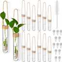Baderke 12 Pack Wall Hanging Propagation Station Plastic Test Tubes Planters Wall Terrarium for Home Office Plant Hanger Flower Vases Hydroponic Cuttings Office Garden Flowers Walls Decor Lover Gift
