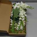 White Delphinium Artificial Flowers,8PCS Long Stem Silk Larkspur Flowers 33.5'' Faux Delphinium Stems for Tall Vase Home Wedding Table Decor(White)
