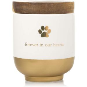 Pearhead Pet Ceramic Forever in Our Hearts Urn, Pet Memorial, Dog Or Cat Keepsake Urn, Rainbow Bridge, Gold