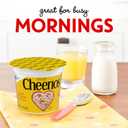 Cheerios Breakfast Cereal Cup, Gluten Free, Single Serve Cereal, 1.3 oz (Pack of 12) BBD 08/22/2026