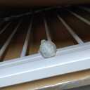 29-34 Inch Baby & Pet Gate - White Metal, Pressure Mounted, Walk Through Safety Gate for Narrow Stairs & Doorways