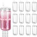 12 Pack 16 oz Acrylic Snow Globe Tumbler Cups, Double Wall Plastic, Pre-Drilled Hole with Plug, DIY Snowglobe Tumbler Supplies Bulk, Clear Mason Jar Style with Lids & Straws