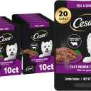Cesar Filets in Gravy Wet Dog Food Filet Mignon Flavor, 1.76 oz. Mini-Pouch (20 Count, Pack of 1), Best By: 06/15/2027