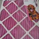 Colorfil 16x20x1 Air Filter (2-Pack) | Made in the USA | Color Changing | Remove Cat and Dog Odor | MERV 8 for Pet Hair Dander and Dust | 15.5"x19.5"x0.75" Exact Size