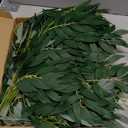 YUSKO 24Pcs Artificial Italian Ruscus Greenery Stems,Silk Greenery Plants Spray Faux Green Leaf Garland Branches Hanging Green Spray Decoration for DIY Wedding Arch, Bouquet,Home Decor