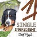 Nature Gnaws Large Bully Sticks for Dogs 5-6" (10 Count) - Thick Long Lasting for Aggressive Chewers and Large Dogs - Natural Beef Dog Chew Bones (EXP 08/01/26)